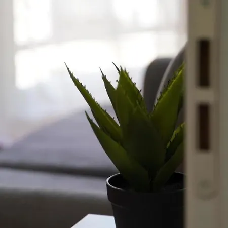 Kalpazo Myslym Shyri * Tirana