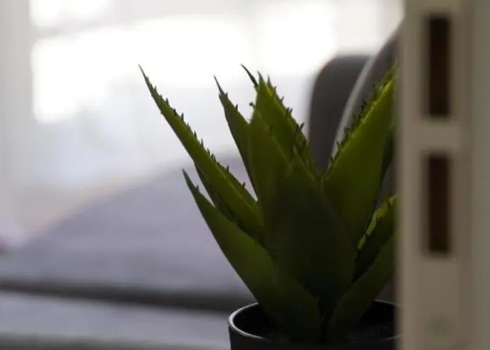 Kalpazo Myslym Shyri * Tirana